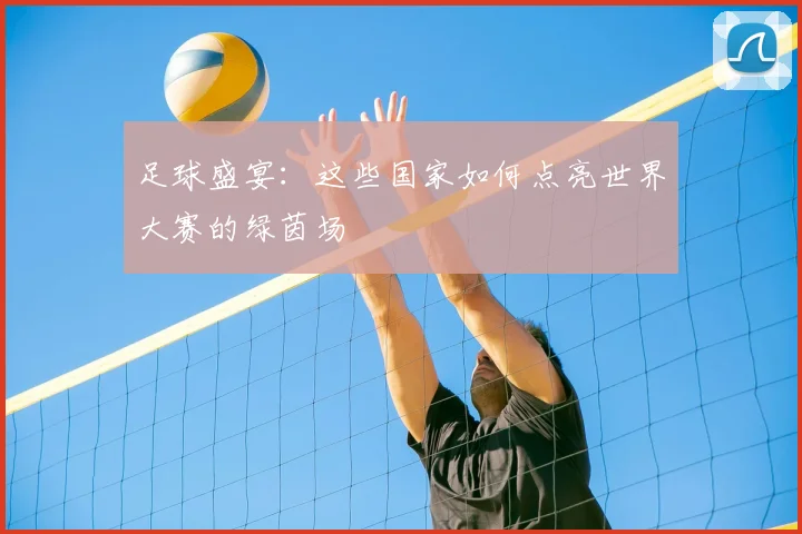 足球盛宴:这些国家如何点亮世界大赛的绿茵场